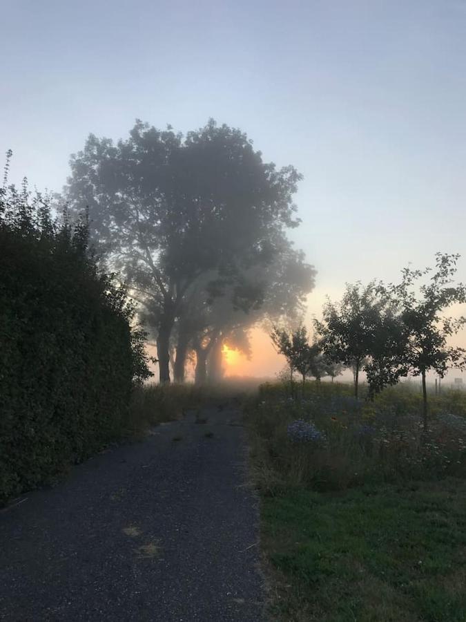 Zomerdijk-Inn Zuid Wanneperveen Esterno foto